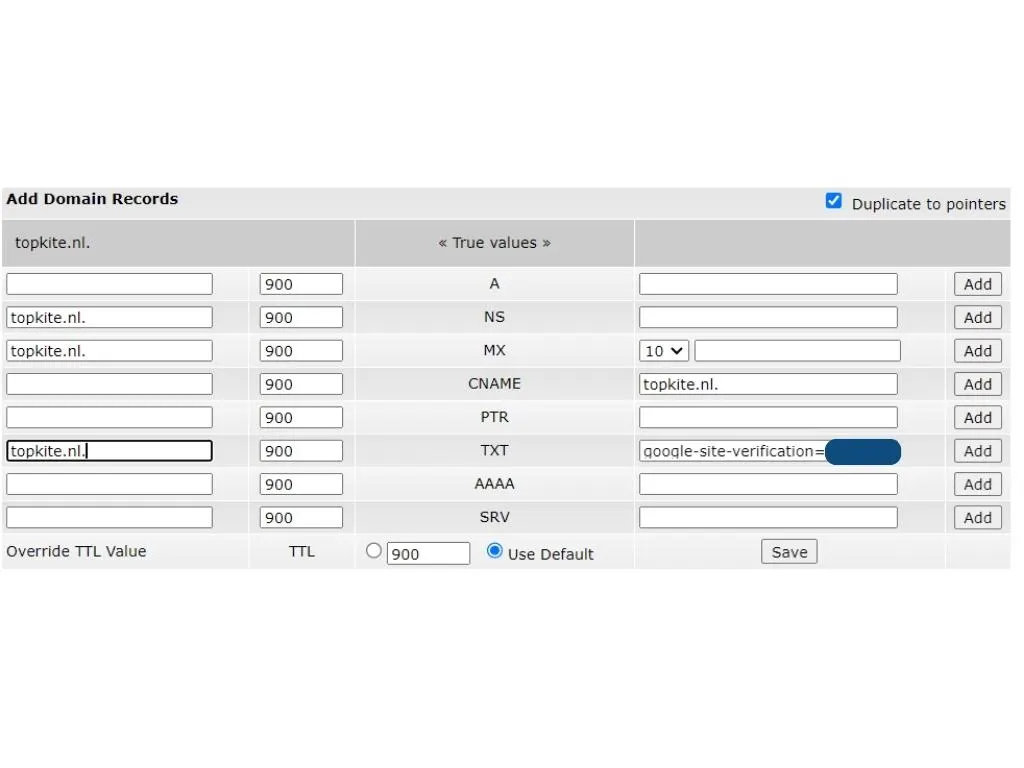 verifying dns records in google search console