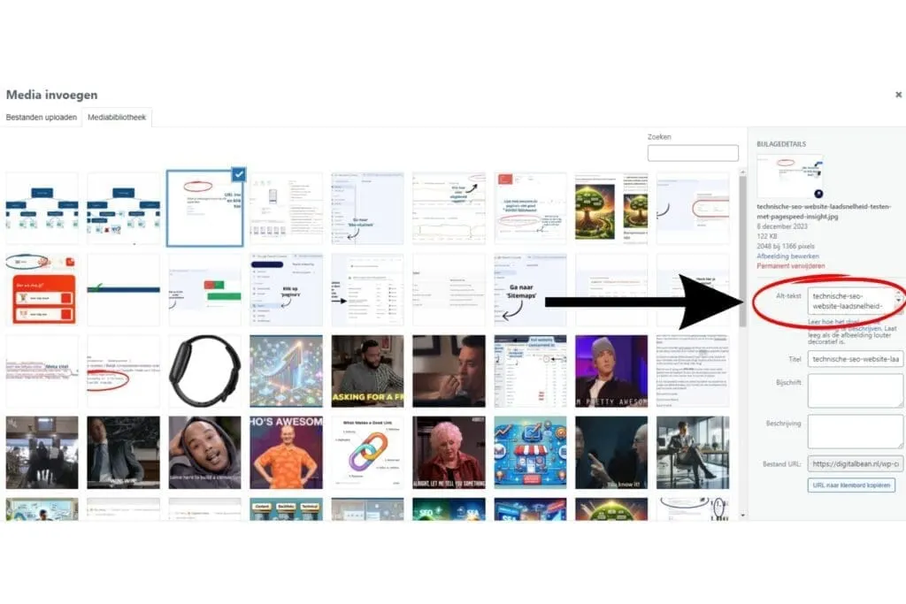 example of where to edit alt text in wordpress