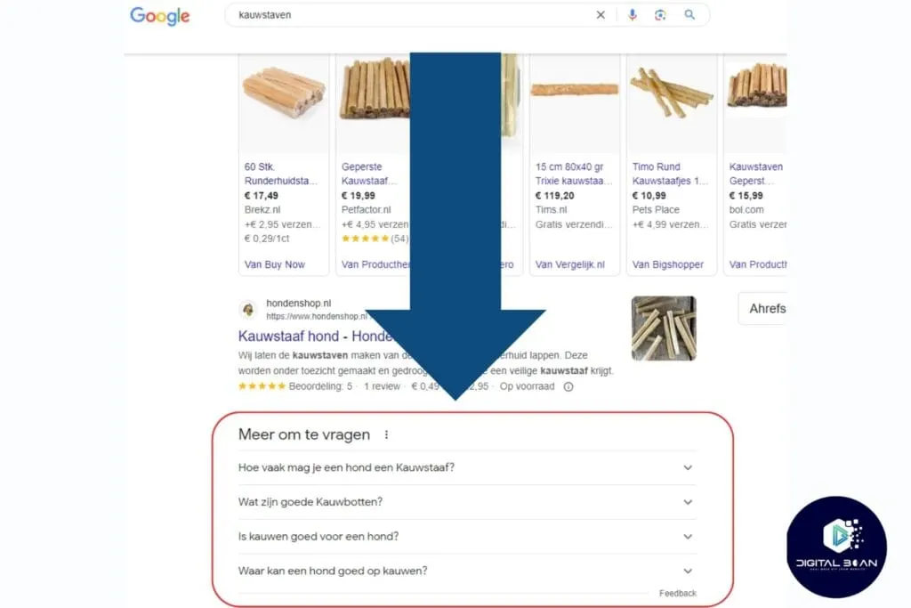 screenshot-of-the-people-also-ask-section-in-google-search